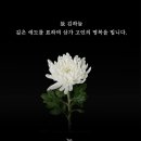 대전양만 스타뉴스