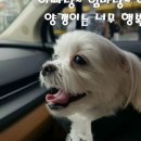 더시티호텔목포 네이버블로그