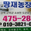 땅재 농장 이미지