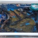 은진상회 이미지