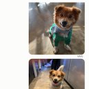 연두네놀이터 이미지