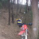 대숲속으로 이미지