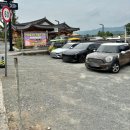 이마트24 진잠교촌점 | 경주 강아지 발바닥 태울 뻔한 여행, '4인승 전동차' 덕에 살았다 🐶🚗