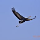 주남저수지 이미지