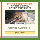 강릉건설(주) | [국도7호선 강릉산성우2지구 현장] 보이지 않는 안정의 비결, 동아씨엔씨 계측장비를 만나다