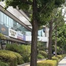 베베왁싱 - 수원시 팔달구 | [뷰티] 베베 왁싱 :: 분당 정자동 브라질리언 왁싱 후기