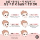 메리네일 네이버블로그