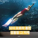 닉시 | 닉시 프리다이빙 오로라 롱핀 바다 가서 개시했어요