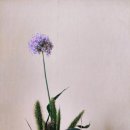 금척마을 이미지