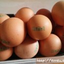 봉골농장 이미지