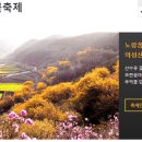 경상북도 공모전 자료 조사(울진군-울진대게축제, 문경시-찻사발축제, 오미자축제, 사과축제, 안동시-탈춤 페스티벌, 군위군-사과, 의성군-의성산수유축제) 이미지