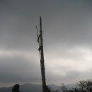 박달농장 이미지