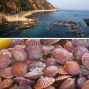 경남무도장 | 초음파방오와 AF 방오 도료(페인트)와의 관계