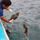 옹진민박 이미지