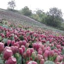 유태네 농장 이미지