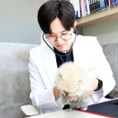 펫웨이브 동물의료센터 이미지