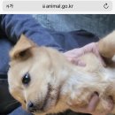 관악연세공감치과의원 이미지