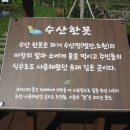 수산리-8 이미지