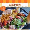 탑립농장 | 유성 브런치 애견동반 카페 대전 숲뷰 감성분위기 탑립커피