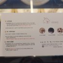 딸램들램 | [대전 애견수제간식] 중리동 에 위치한 "딸램들램 " 애견수제간식 대전원데이클래스 아이랑다녀온 후기