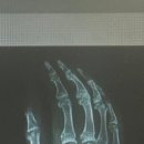 류마본내과의원 이미지