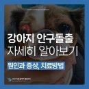 우리동물메디컬센터 이미지