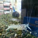 DC킹마트 이미지