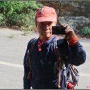 교곡1리 이미지