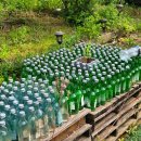 청평옆집언니 | [가평 숙소] 강산호펜션 : 가성비 있는 빠지 근처 펜션 추천