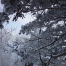 100대 명산인 계방산(1,577m) 등산 후기 (2018. 01. 09.) 이미지