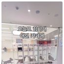 오늘도 이쁘개 이미지