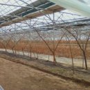 김영선농장 이미지