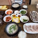 남광스포렉스 | 안동국밥맛집 ‘안동돼지국밥 정하점’ 직장인 점심 추천