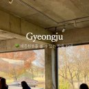 도리경로당 이미지