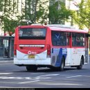 (합)신일여객 이미지