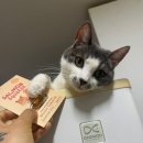 스푼풀코리아 이미지