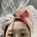 파이어리 | 푸딩 파이어리레드 셀프염색/레드염색 내돈내산후기