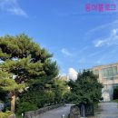 모닝캄호스텔 이미지