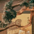 백제당한약국 이미지