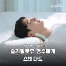부부컴퓨터세탁 | 잠 못 이루는 목 통증 끝 슬리필로우 경추베개 스탠다드 솔직 후기