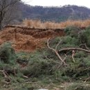 약초흑염소농장 이미지