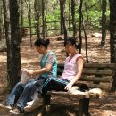 인천대공원(거수골) 이미지