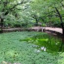 상수리숲농장 이미지