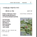 김순국