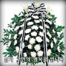 P-6703 이미지