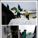 어제 오산시 자원봉사센터에서 주관하는 강릉폭설피해지역 자원봉사활동 댕겨왔습니당 이미지