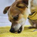 나정푸드 이미지