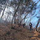 신철원전통시장 | 2026년 1월17일 새해 첫 극동계 포천 명성산 백패킹 후기