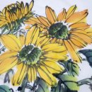 해바라기의꿈 이미지