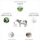 순영목장 이미지